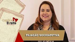 Explica Direito Filiação Socioafetiva  2019 [upl. by Tobye]