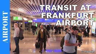 TRANSIT WALK AT FRANKFURT Airport FRA Terminal 1  Connection Flight Transfer Arriving amp Departing [upl. by Uttasta203]